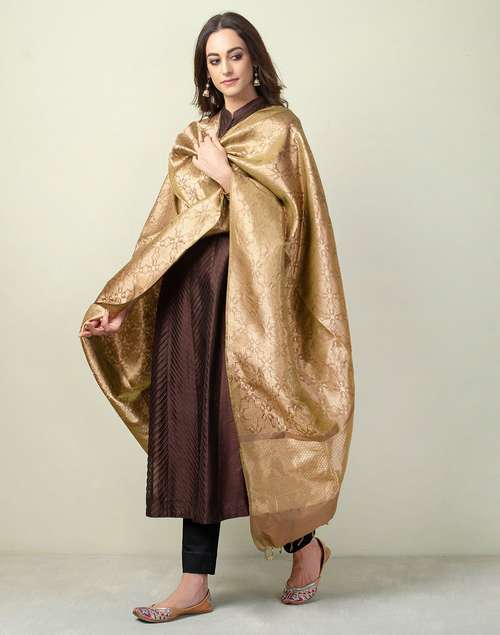 Silk Banarasi Cutwork Dupatta Silk Banarasi Cutwork Dupatta
