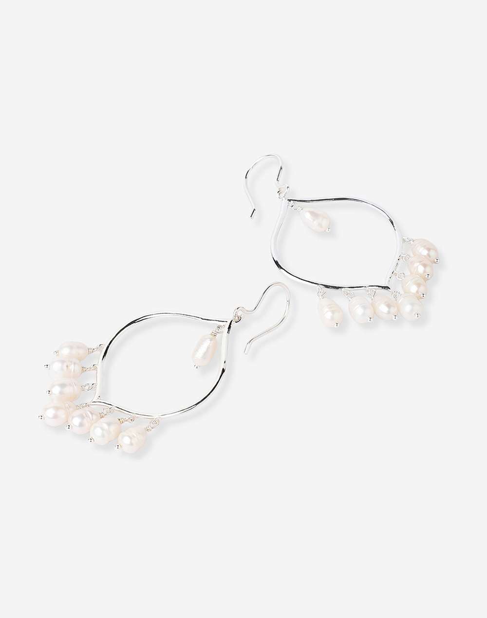 Silver Dangler Earrings
