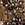 Antique Brass