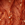 Rust
