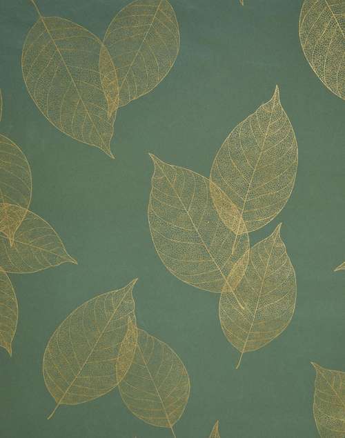 Varak Sheets Buy Green Varak Paper Wrapping Sheets | Set Of 2 Online at Fabindia ...