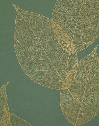 Varak Sheets Buy Green Varak Paper Wrapping Sheets | Set Of 2 Online at Fabindia ...